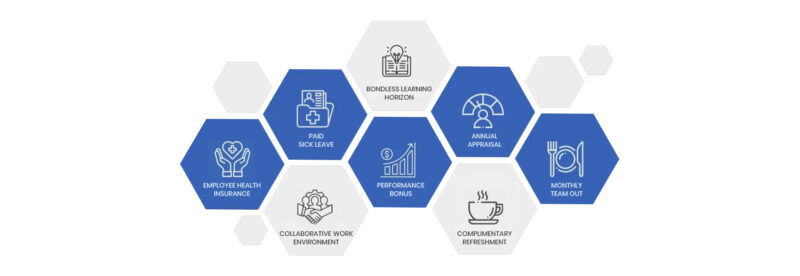 Careers - Webnox Technologies