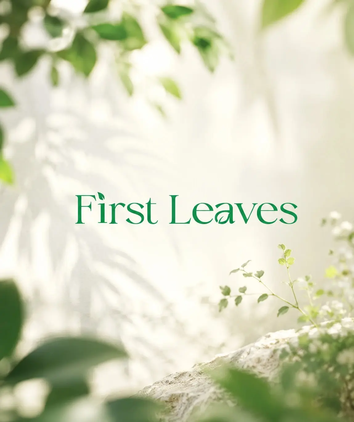 first-leaves-logo first-leaves-logo